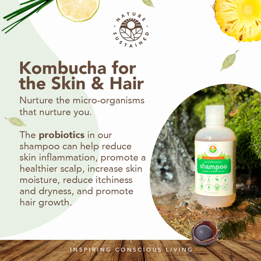 Infographic of probiotics in in Raw Organic Soapberry Shampoo.