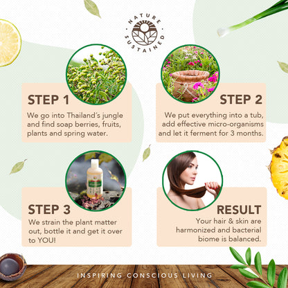 Infographic detailing production steps of Nature Sustained Raw Organic Soapberry Shampoo.