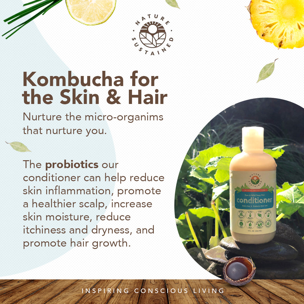 Infographic about Kombucha for Hair detailing how natural probiotics help reduce dryness and inflammation of skin, and promotes hair growth for Nature Sustained Raw Organic Soapberry Conditioner.